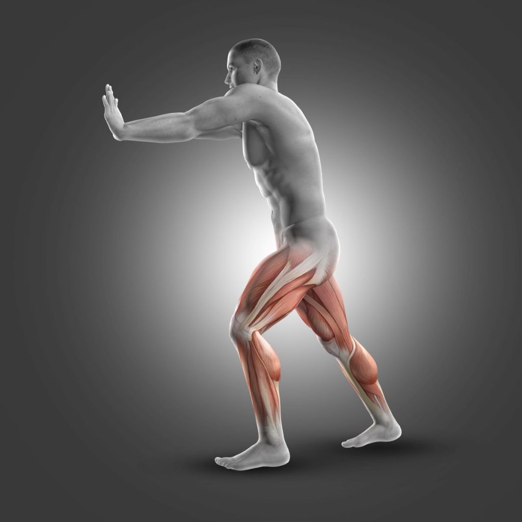 Les principales positions en spinning permettent de travailler en profondeur les muscles des jambes